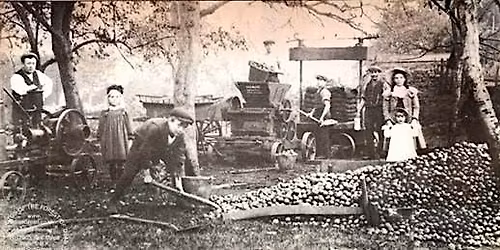 Cider Making in Gloucestershire - from Foxwhelps to Firkins!