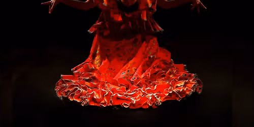 Rebeca Ortega Flamenco from Spain \u2013 SILENCES