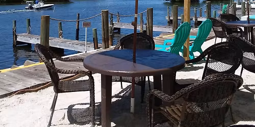 Joey Damiano at The Backyard