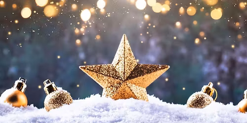 Multi Company Holiday Party