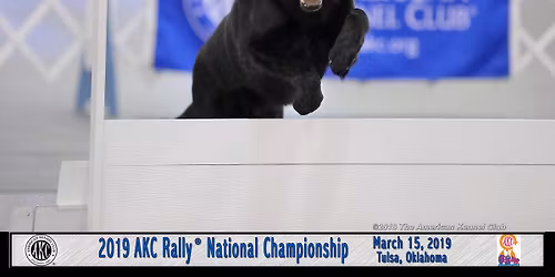 RiverRun AKC Rally Workshop  