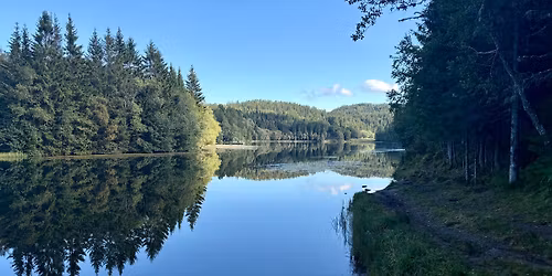 Sosial l\u00f8petur i Trondheim