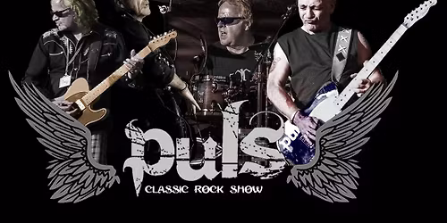 Puls Live At The Ship And Anchor