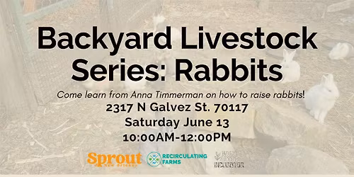Backyard Livestock Series: Rabbits
