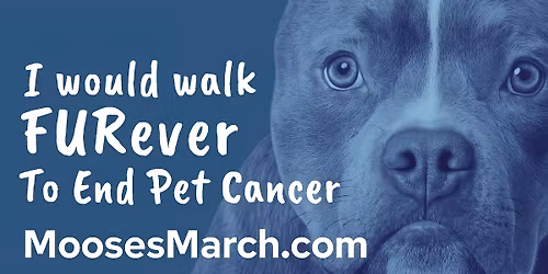 I would walk FURever to end pet cancer