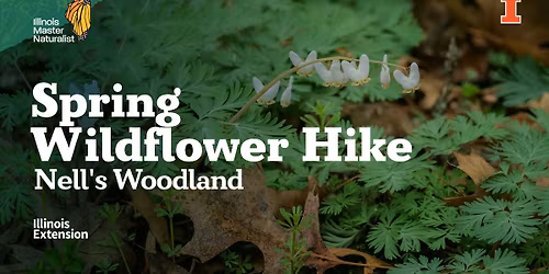 Spring Wildflower Hike - Nell's Woodland