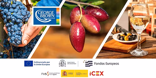 Essence of Spanish Cuisine: Seminar on Spanish Wines and Olive Oil