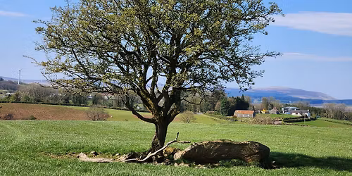 Terror Talks: Vaimp\u00edr - Ireland's Dracula Story (World Dracula Day)