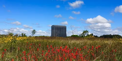 Learn from the Experts: Ecology of Fermilab