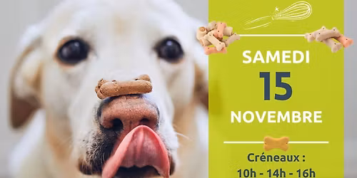 Atelier fabrication de biscuits