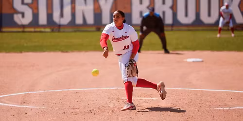 Parking Stony Brook Seawolves at Hampton Pirates Mens Basketball