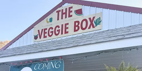 Parks Plant Shoppe - GRAND OPENING \ud83c\udf31