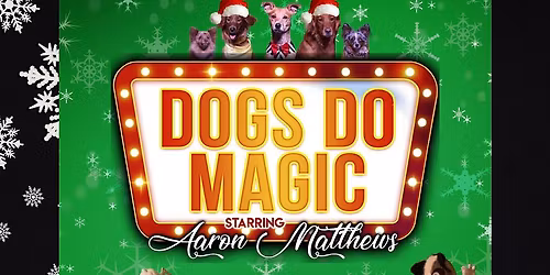 Dogs Do Magic