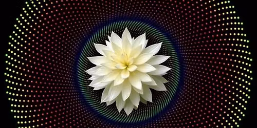 Nomadic Love Mesa - "Shamanic infusions. Immersive sound."