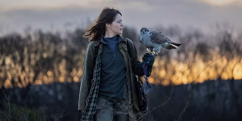 H Is for Hawk