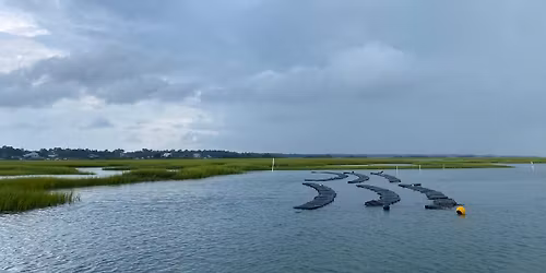 Oyster Pick-up at 8207 NOMA
