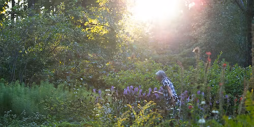 Mindfulness Meditation Walk (2\/14)