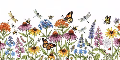Introduction to Gardening with Native Plants