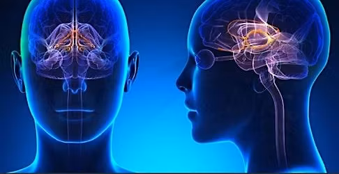 Santa Clara Valley Medical Center Neurosurgery Symposium