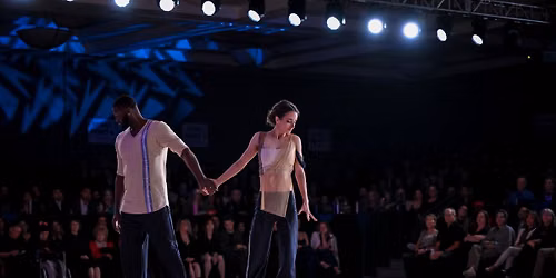 Choreography Experiences at Midwest Westie Fest 2026