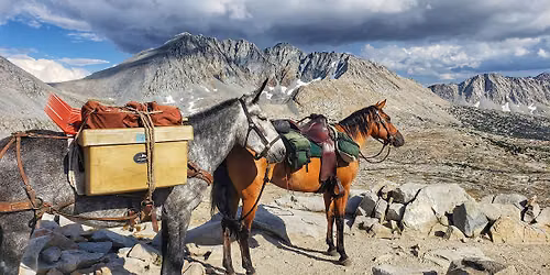 Backcountry Equestrian Camping Workshop and Horse Camp Experience