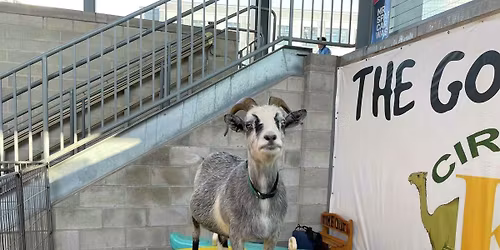 Mental Health Awareness Day