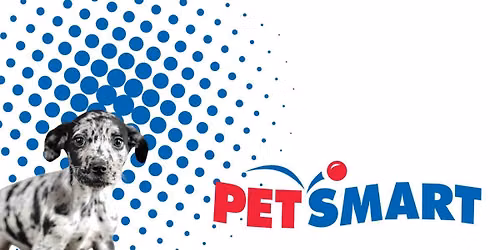 PetSmart Adoption Event - Lake Worth 