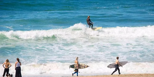 Summer Splash: Beginner Surfing Lessons!