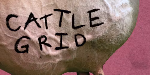 Cattle Grid EP Launch