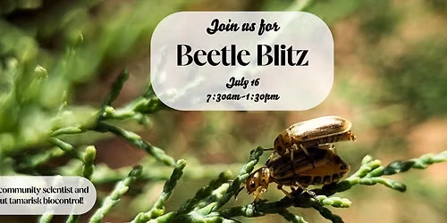 Beetle Blitz - Community Science Event