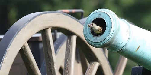 West Virginia Black Bears vs. Team Mexico