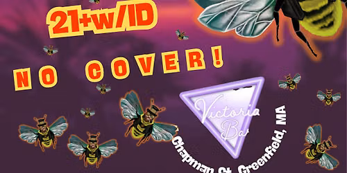 DJ NIGHT with Woody's Bumblebeats! Reggae, Dub, Disco at THE VIC Greenfield, MA