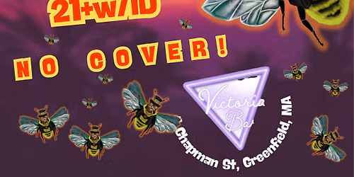 DJ NIGHT with Woody's Bumblebeats!  Reggae, Dub, Disco at THE VIC Greenfield, MA