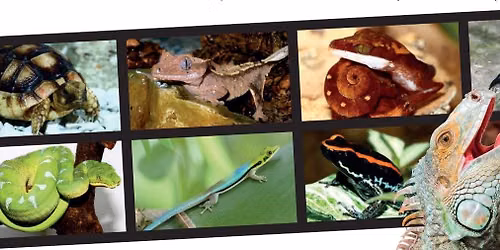 Baselbieter Reptilienb\u00f6rse 2026