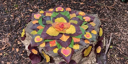 Nature Art Class