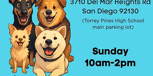 Carmel Valley Farmers Market SD