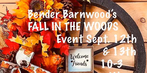 Fall In the Woods