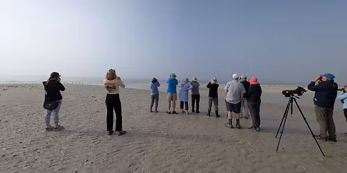 Guided Birdwalk at J.N. "Ding" Darling National Wildlife Refuge
