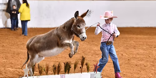 FWSSR Donkey & Mule Show
