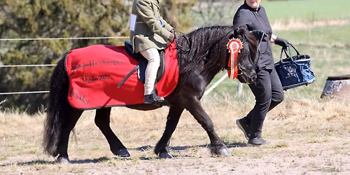 K\u00e4yttisCup -osakilpailu ja tarkkuusajo, VIHTI 
