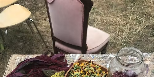 Creating Color with Natural Dyes