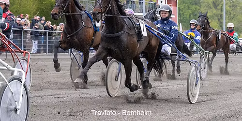 TRAVLØB - SÆSONFINALE