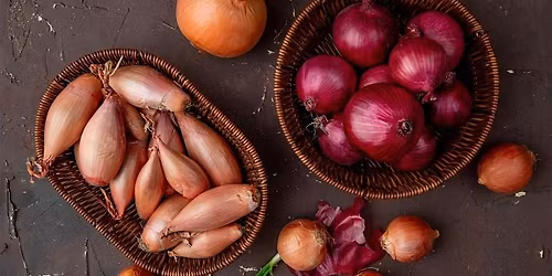 No More Tears: Onions Explained