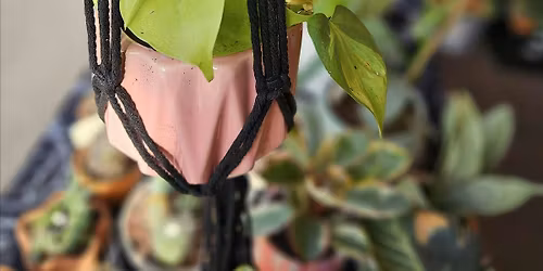 Beginner Macrame Class