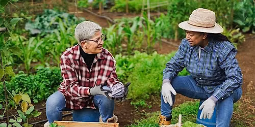Learn to Grow: Lifelong Gardening