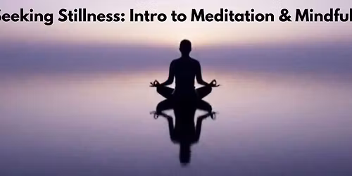 Seeking Stillness: Intro to Meditation & Mindfulness (knee friendly!)