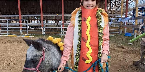 Annual Halloween obstacle course