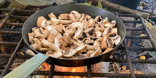 Mushroom walk with David Winnard