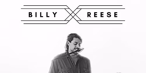 Billy Reese   Neighborhood Night