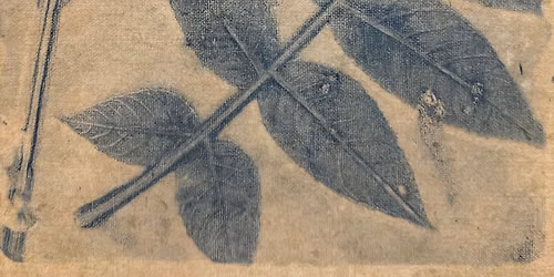 Botanical Prints on Gel Plate workshop
